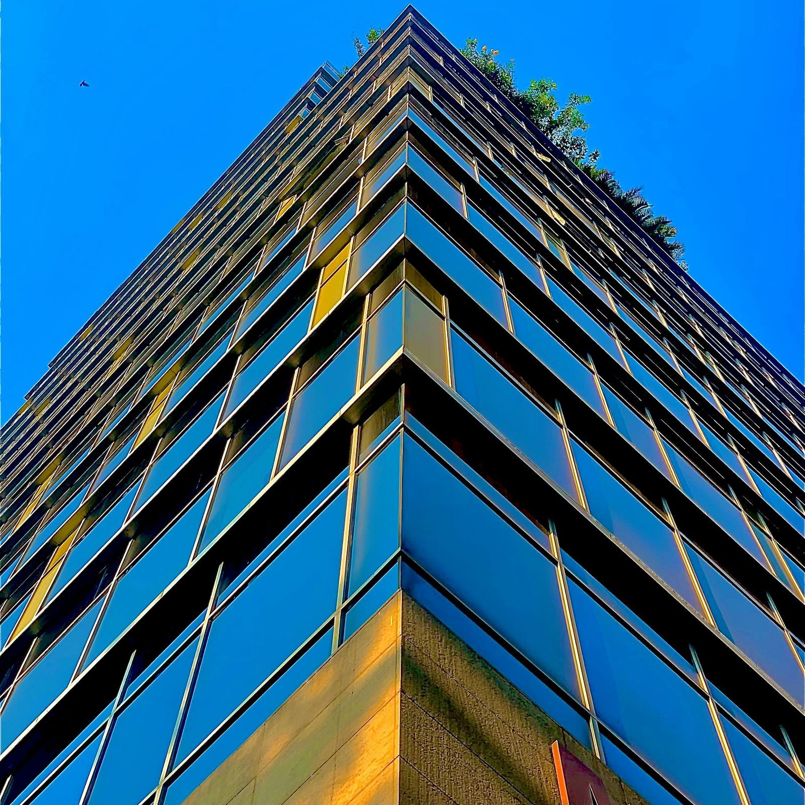Low angle view of a building during the day.