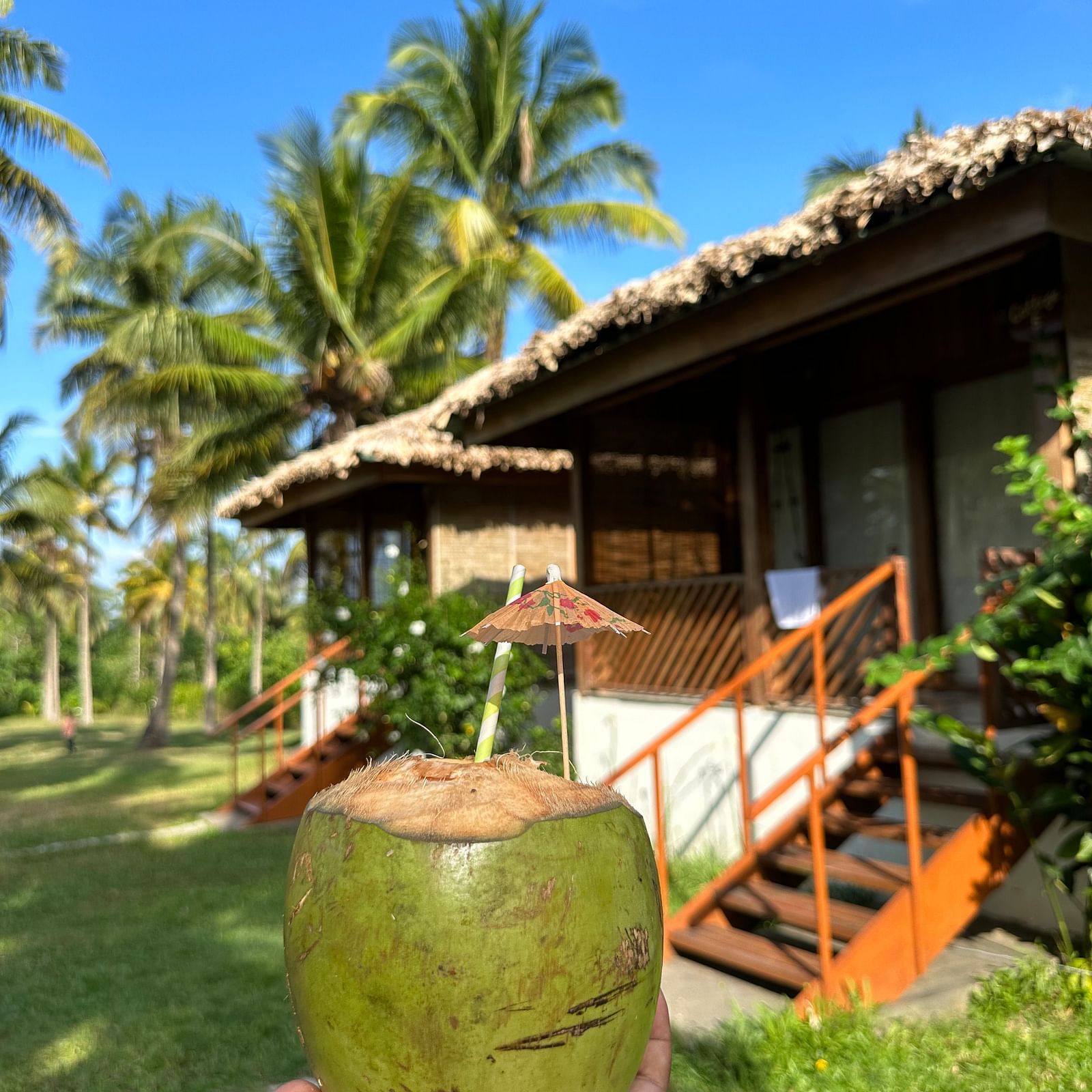 A hand holding a fresh green coconut in front of a thatched-roof bungalow, palm trees, and a clear blue sky.