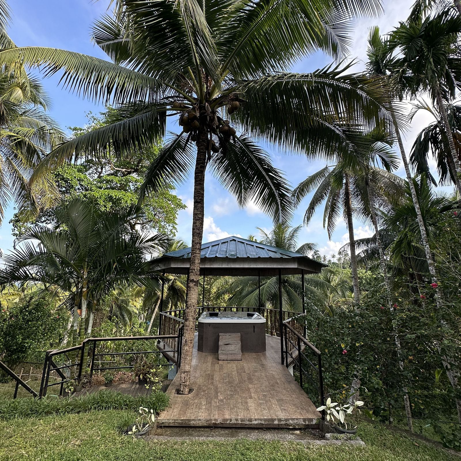 A large palm tree stands over a small wooden structure with a thatched roof, surrounded by green grass and other tropical foliage under a blue sky.