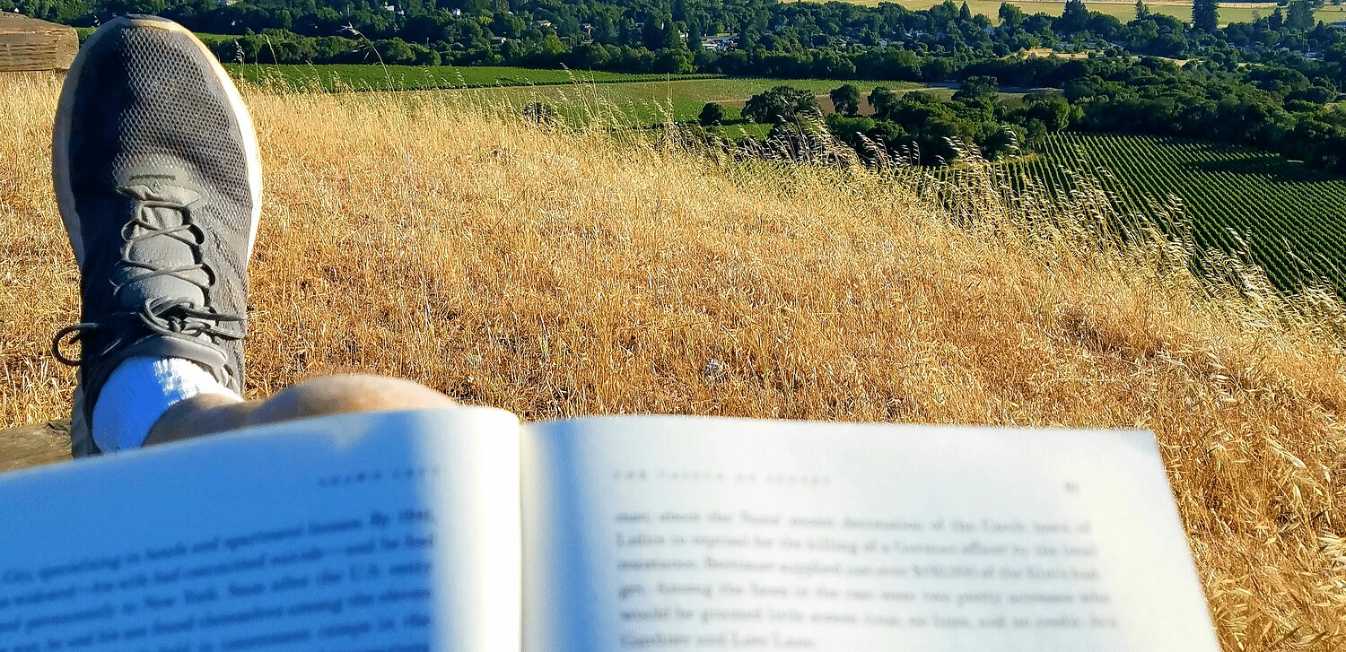 A person sitting on top of a mountain with a book in their hands, looking out over a landscape of green fields and hills