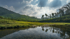 A view from a waterbody, capturing the forest cover and lush green mountains beneath white clouds.