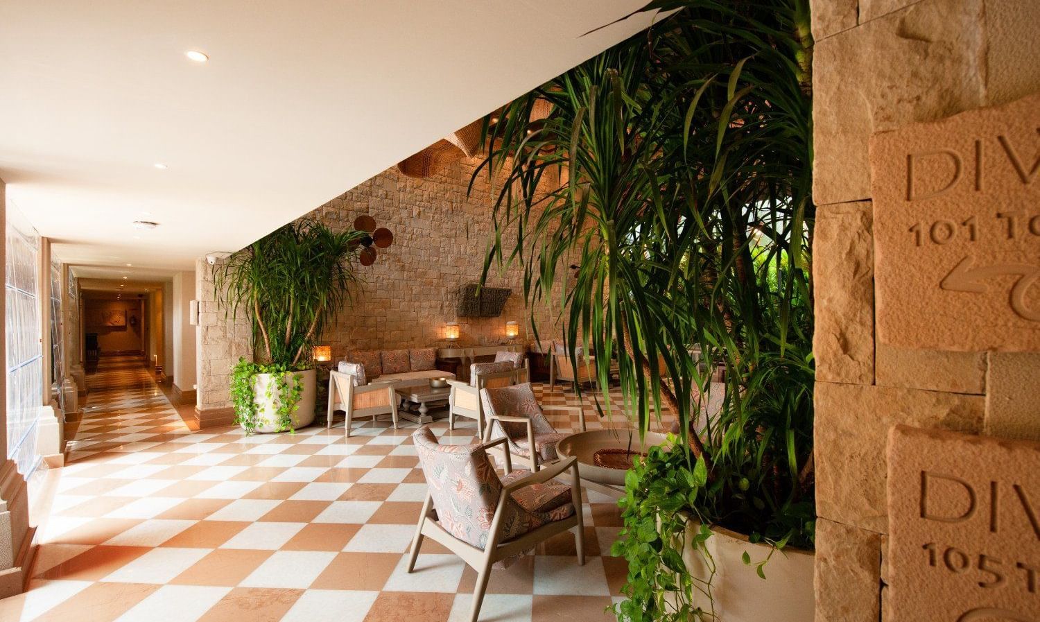 A wide-angle shot of the Suenos de Cafe at the Evren, Vagator, with green indoor plants kept in the corridor along with chairs.