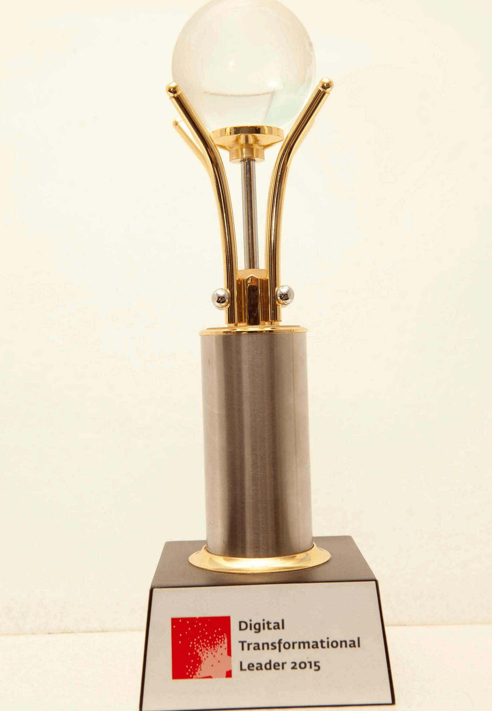 Digital Transformational Leaders award 2015