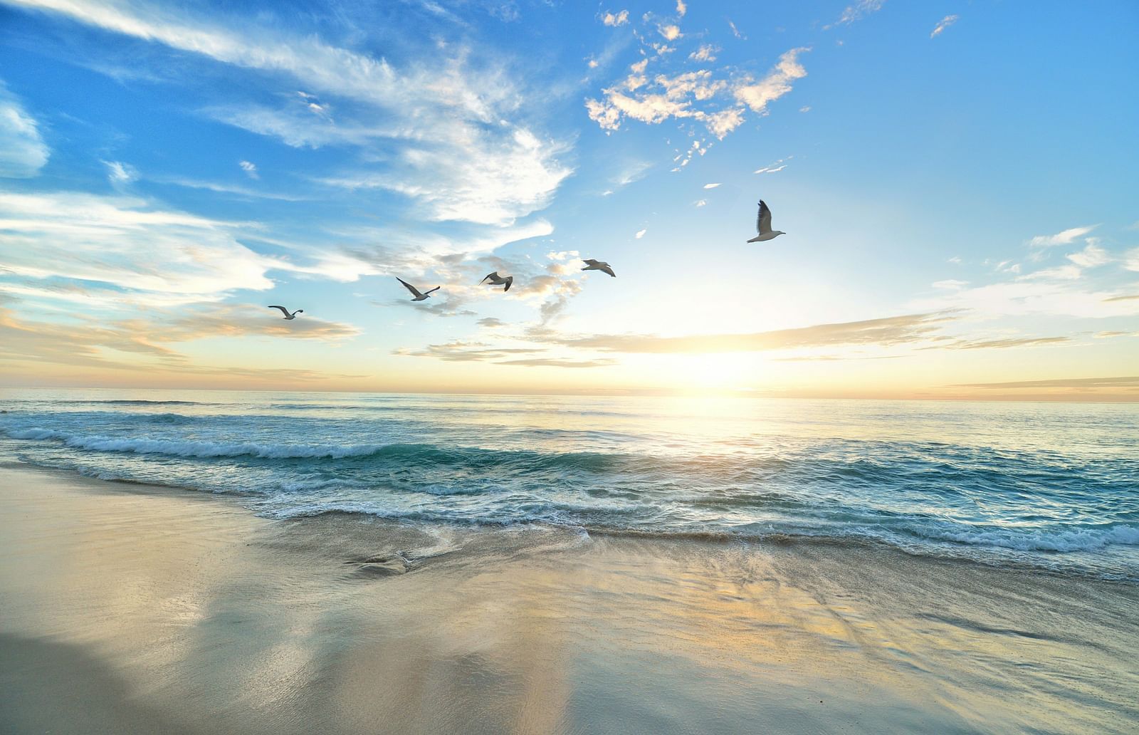 An overview of a beach with birds flying above and sun setting in the background