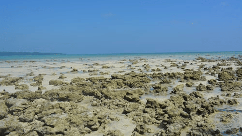 Rocks at the beach with the ocean in the background