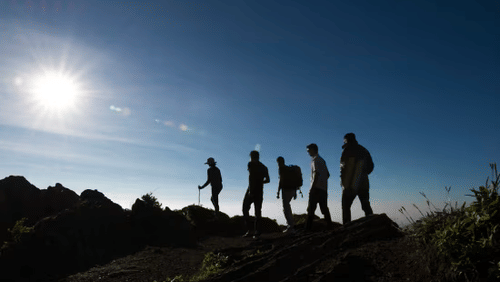 Mullayanagari Hike - Nature Trails in Chikmagalur - The Serai Chikmagalur