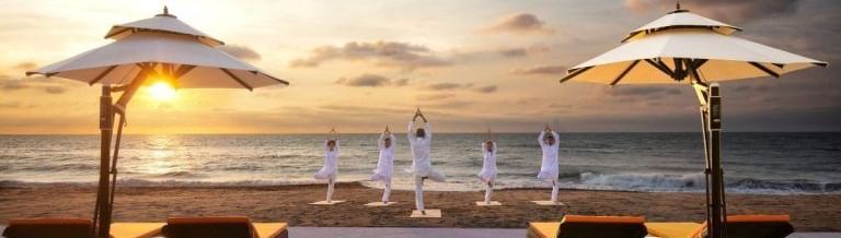A group of people in a standing yoga position with the beach and the golden sun in the background.