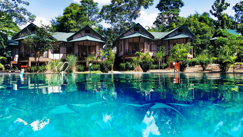 View of a swimming pool in front of luxury cottages, with lush green trees surrounding the area