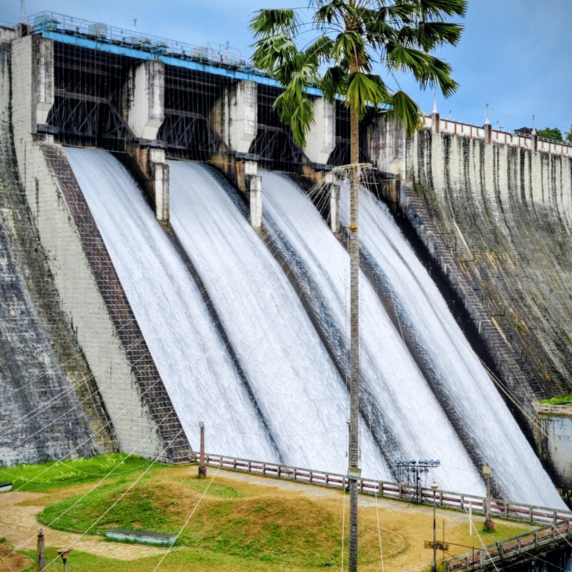 Large dam releasing water through spillways, with tall palm trees and green grassy slopes in the foreground under bright daylight
