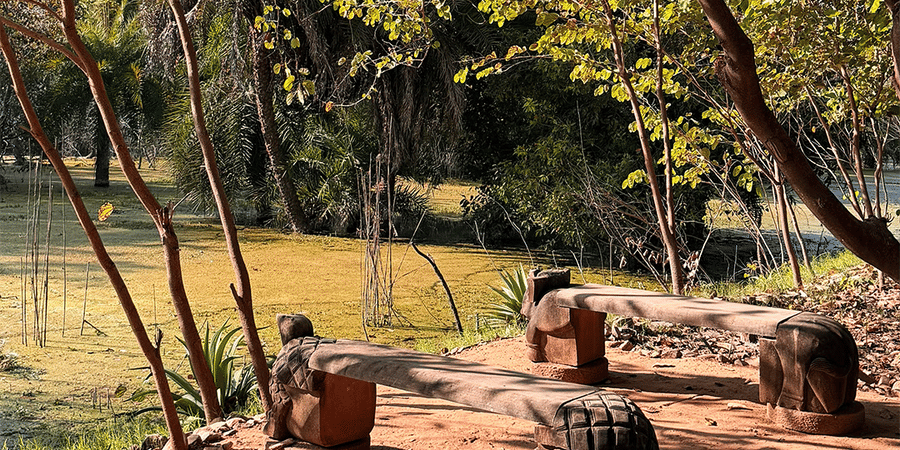 Fishing at Surya Bagh, Experiences