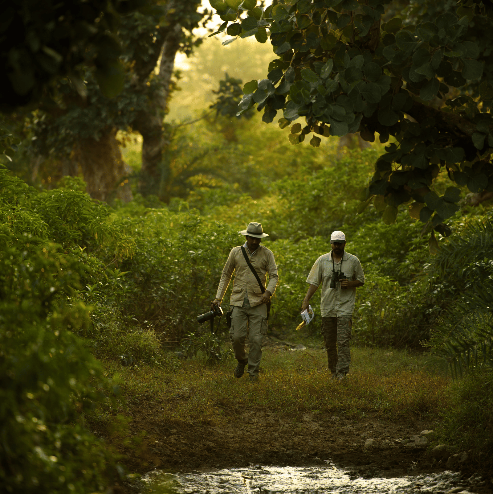 An image two men walking amidst green a forest - An image of a jeep parked amidst the rocky mountains - Utsav Camp Sariska