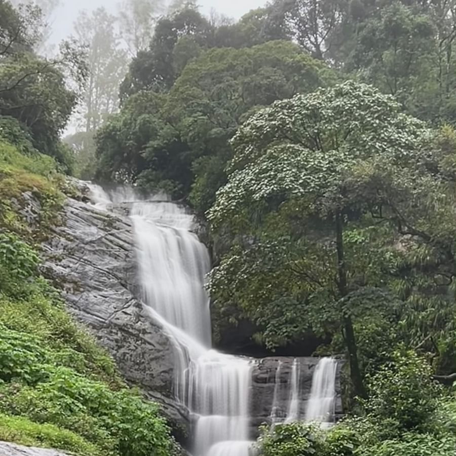 an image of waterfall cascading down next to trees and plants - Ibex Stays & Trails, Valparai (Mistly)