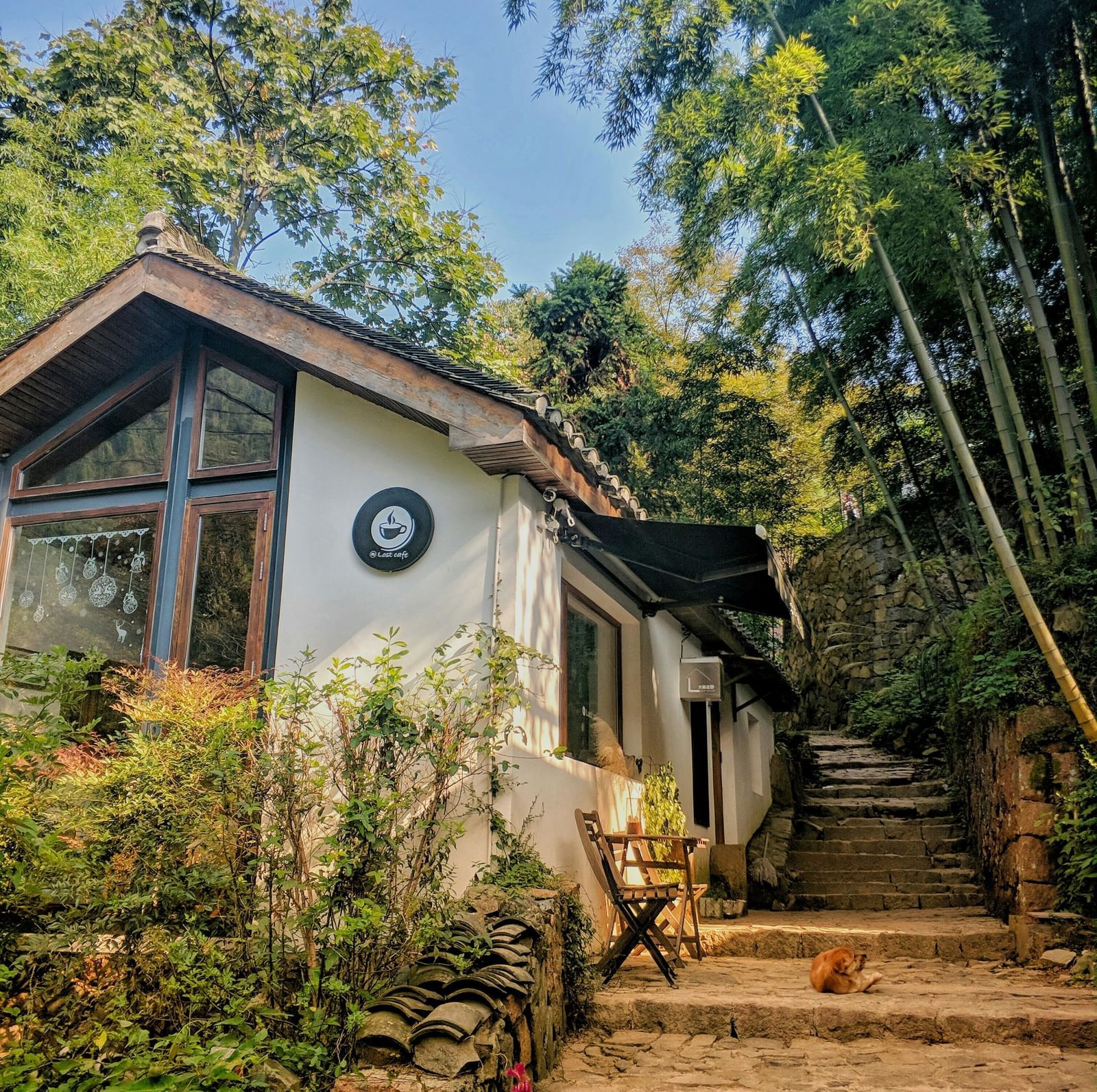 A charming white house with a brown roof nestled among green trees and a stone staircase.