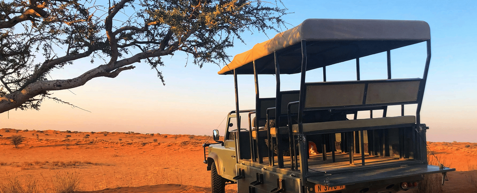 An open jeep parked under a large tree in a dry safari landscape.