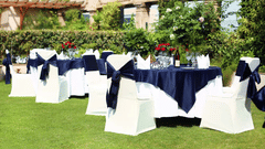 Palmyra Restaurant, The Bristol Hotel Gurgaon, Restaurant In Gurgaon 3728