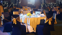 The Regent Park, The Bristol Hotel Gurgaon,Party Hall In Gurgaon 5501