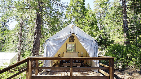 Exterior of a tent surrounded by trees at Shaver Lake Village Hotel.