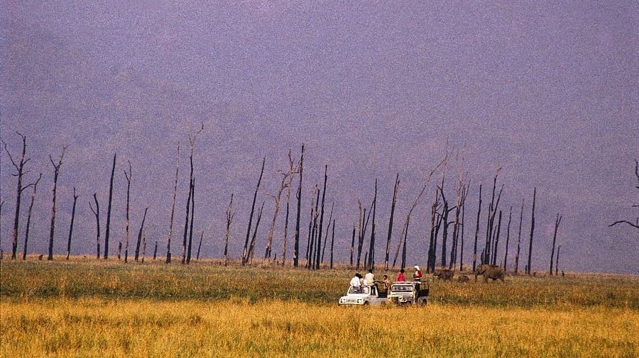 An image of people on a Jeep safari and next to it there is an elephant 