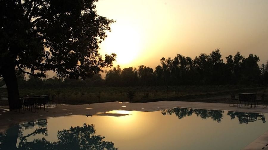 An image of a beautiful sunset near a water plant - Claridges Collection