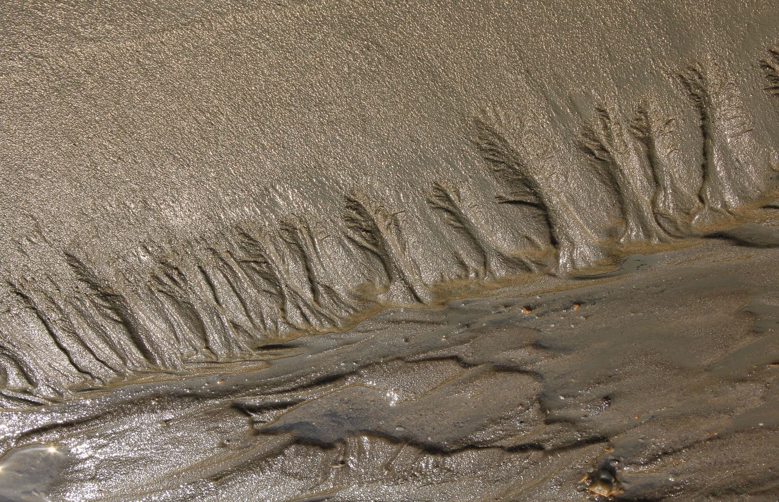 A close up of mineral rich mud with grooves at the edge where it meets water.