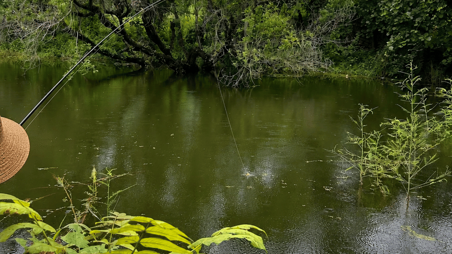 Fishing at the stream -Surya Bagh-Experiences-3