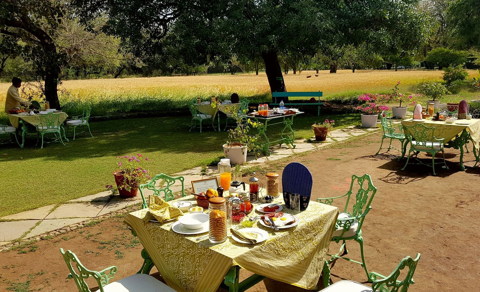 An outdoor dining area with tables set for a meal, surrounded by trees and a grassy field, with a person seated in the distance- Shahpura Bagh.