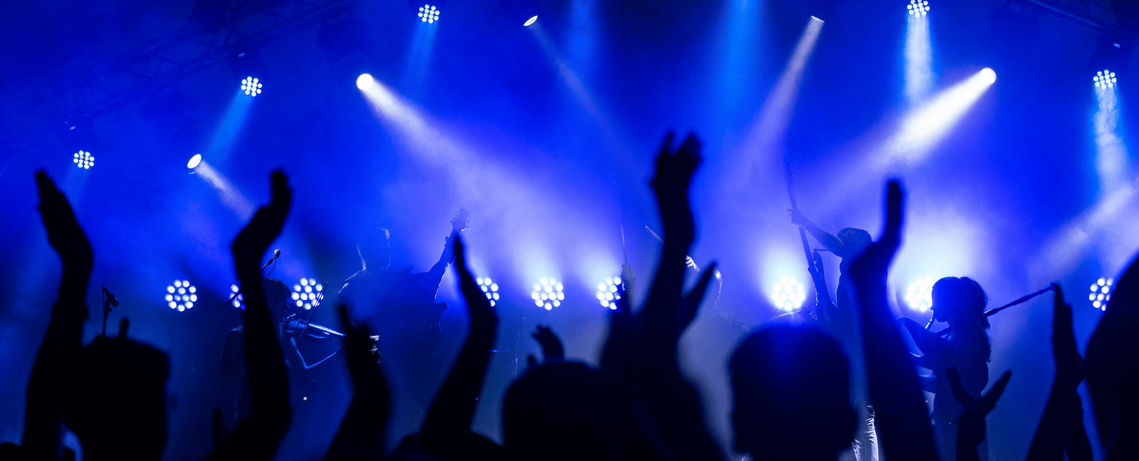 pexels-wolfgang-1002140-2747446