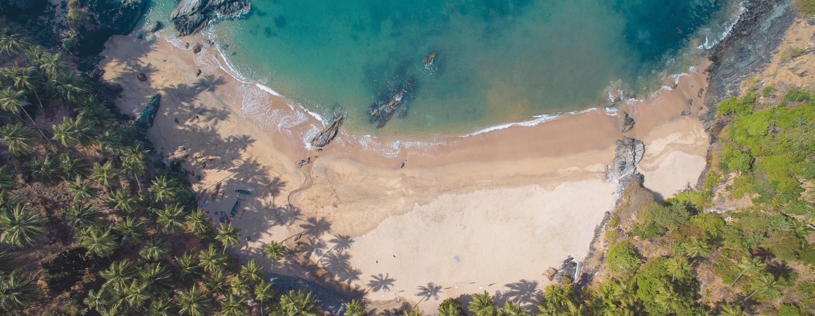 Morjim Beach surrounded by lush green plants and trees