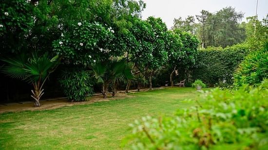 Shot of the garden at our villa with plants all around | Udman Luxe Villa