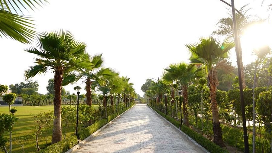 Pride Ranakpur Resort Convention Centre - view of the property pathway with trees on either side
