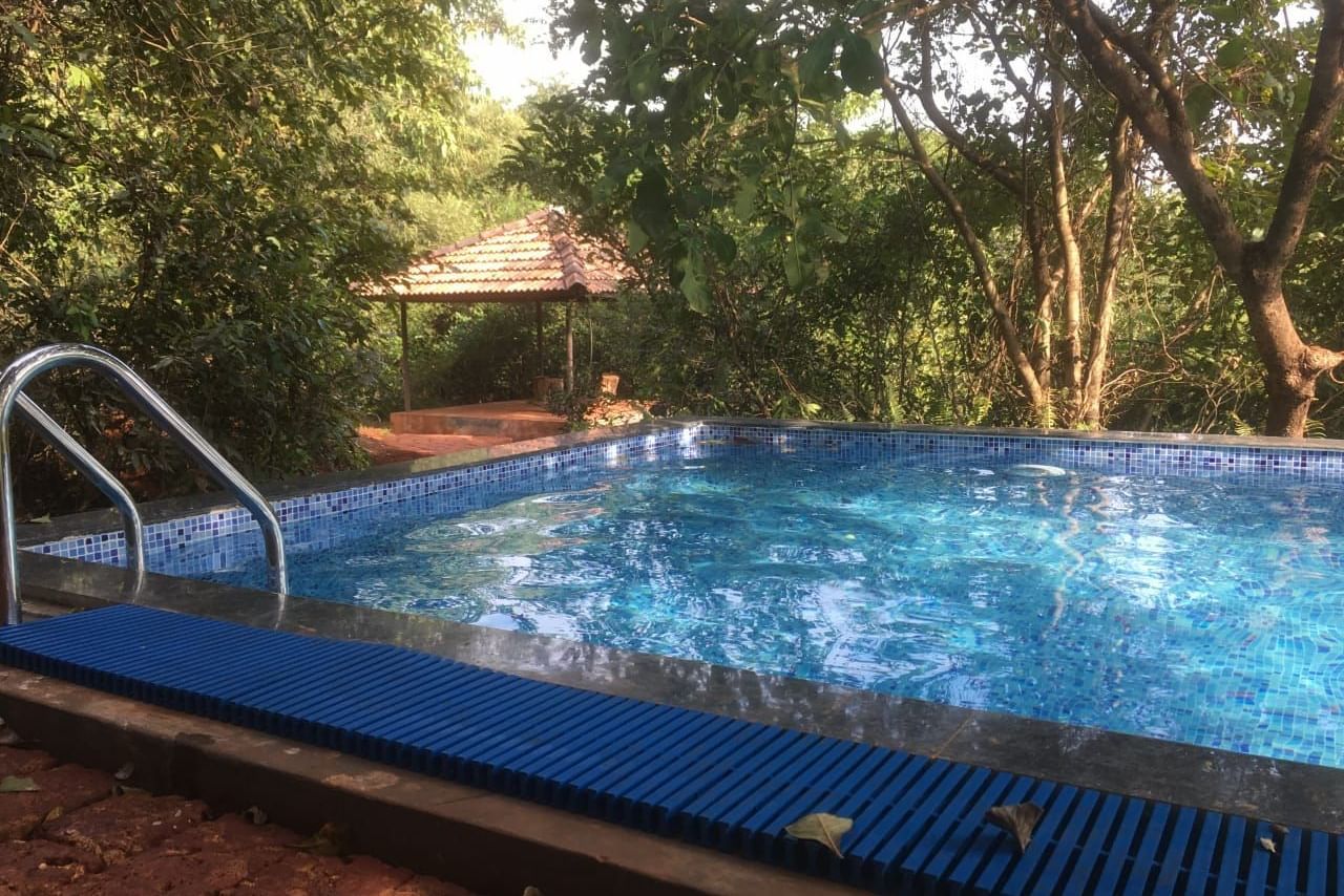 The swimming pool surrounded by trees at Agreen hotel.