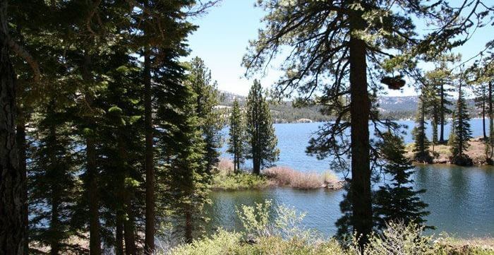 A lake view framed by lush trees, with a distant mountain range under a clear sky. - Kit Carson Lodge & Restaurant 