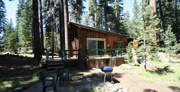 A rustic wooden cabin with a slanted roof sits nestled among tall pine trees. - Kit Carson Lodge