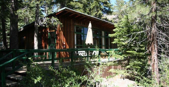 A rustic cabin with a slanted roof among tall trees, featuring a wooden deck with an umbrella . - Kit Carson Lodge