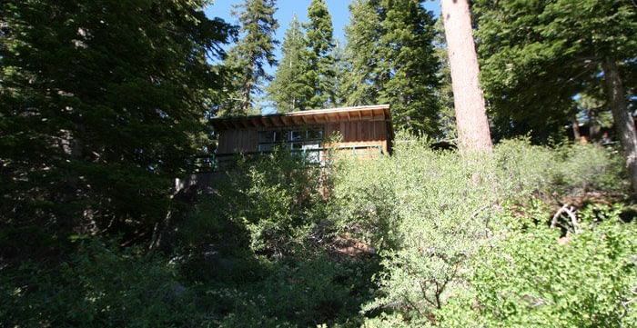 A small cabin, partially obscured by lush green foliage and tall trees. - Kit Carson Lodge