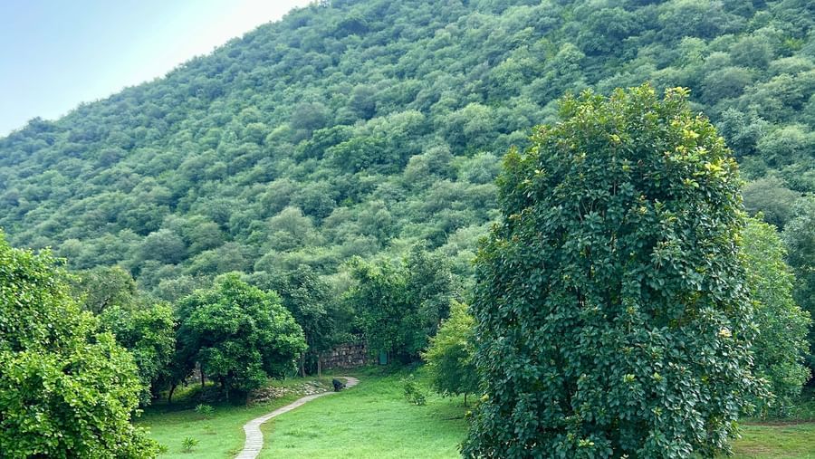 5-Landscape - Surya Bagh -2