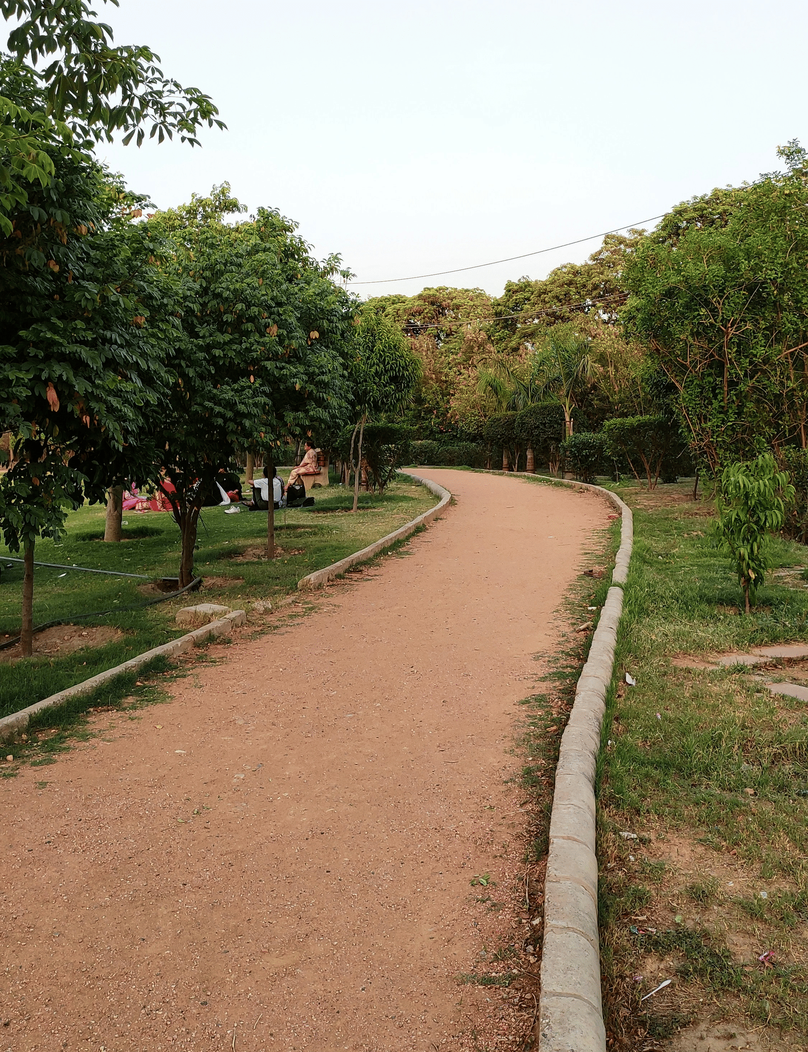 A walking path through a park with benches on the side and trees lining both sides of the road.