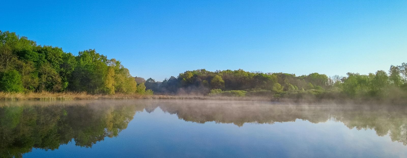 Scenic view of the lake surrounded by greenery during a bright sunny day.