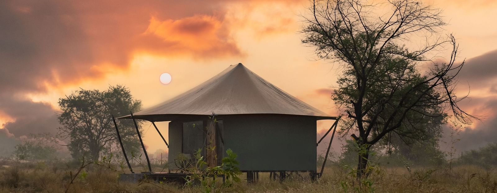 View of a hut during dusk amongst greenery at Trees N Tigers, Tadoba.