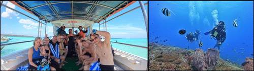 A view of the Barefoot Scuba Resort, showcasing a traditional thatched roof building surrounded by lush greenery, suggesting a serene and nature-immersed setting.