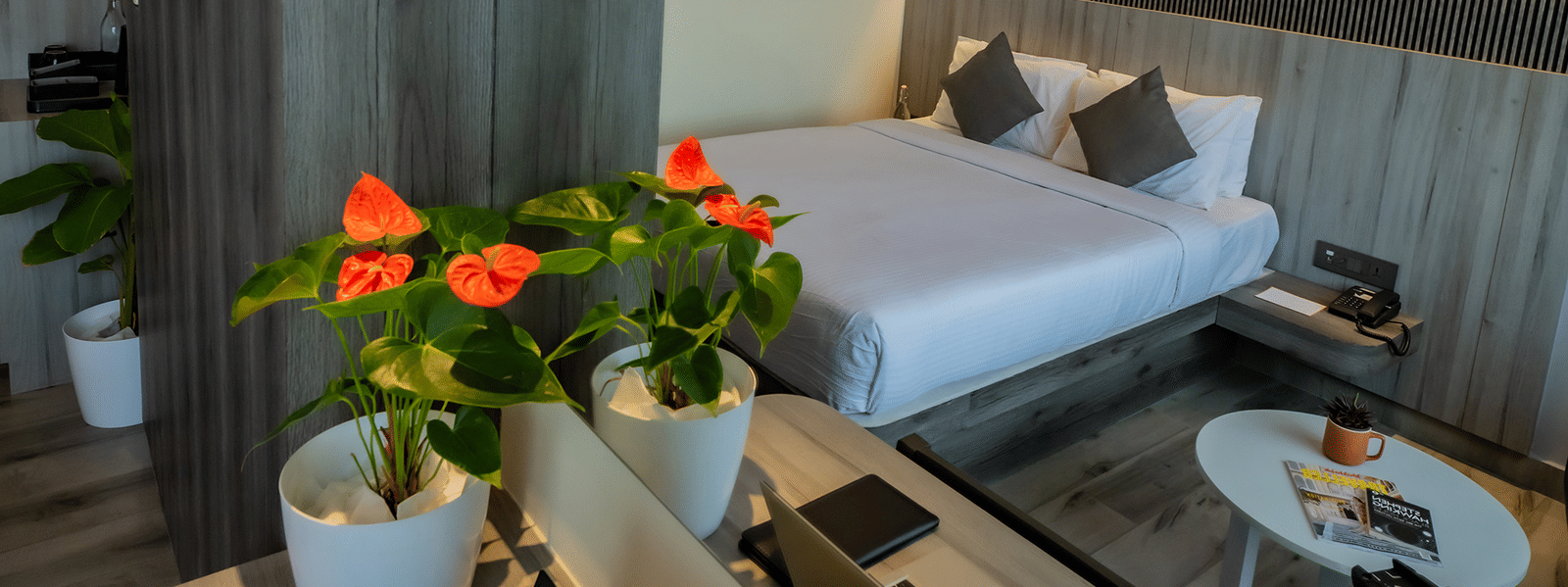 ACMY-Standard-Room-1