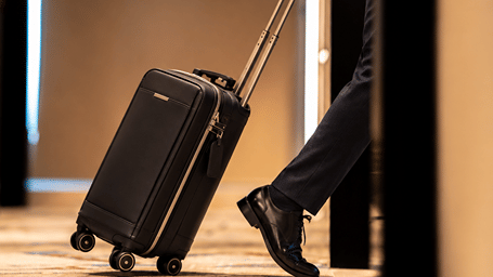 Luxury Traveler with Premium Carry-On