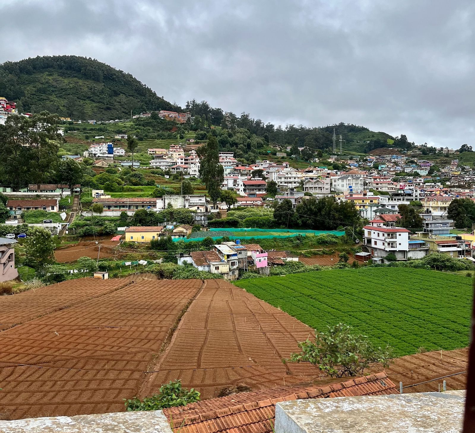 lush green valley of Ooty