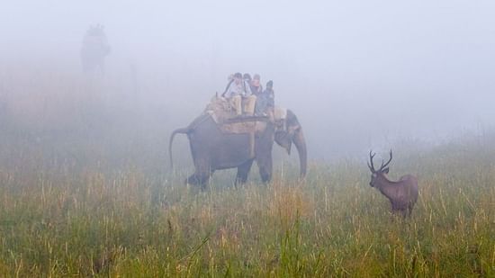 Sitabani Wildlife Reserve near Corbett Wild Iris Spa Resort
