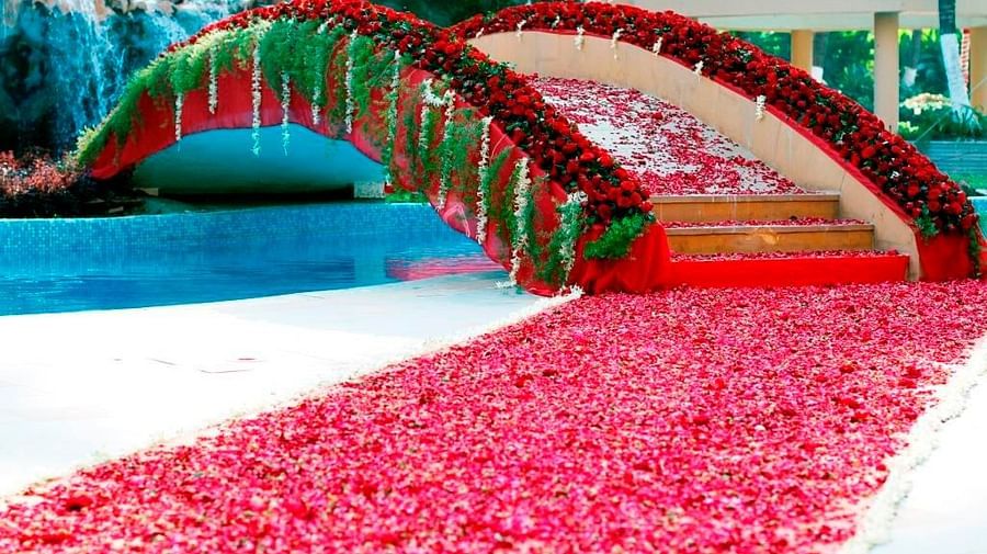a flower carpet by the pool 2