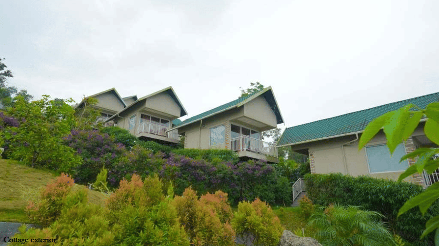 Exterior of a row of Luxe Mountain View Cottages surrounded by green lawns and bushes at Aveda Mountains and Mist Resort and Spa, Munnar.