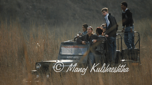 A group of tourists in an open-top safari vehicle driving through tall grassy terrain.