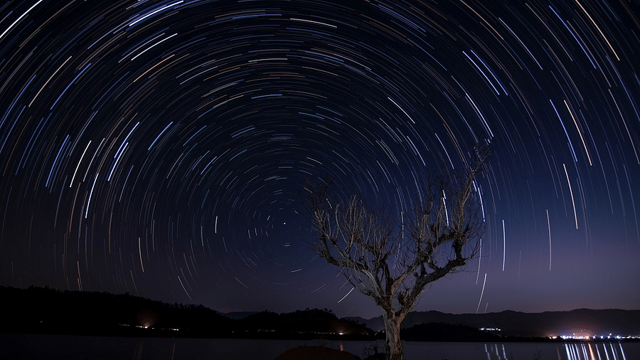 A night photograph featuring a solitary tree on the side, under a breathtaking sky filled with sparkling stars.