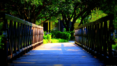 Playground at Infinity Resorts Corbett 2