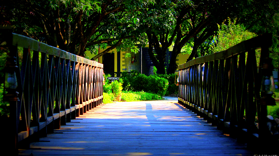 Playground at Infinity Resorts Corbett 2